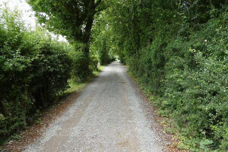 Picture omitted