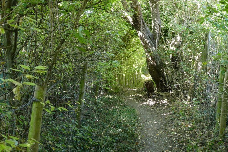 Picture omitted